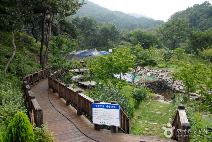 thumbnail-Bongsusan Recreational Forest (봉수산 자연휴양림)-4