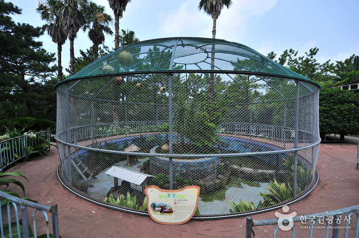 Hallim Park (한림공원)