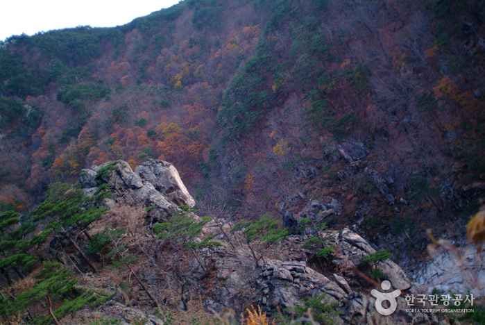 불영계곡 (경북 동해안 국가지질공원)