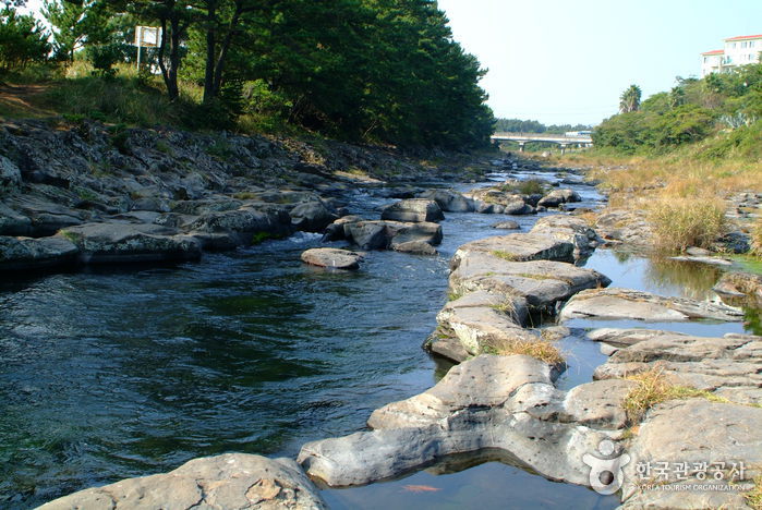 Fluss Gangjeongcheon (강정천)