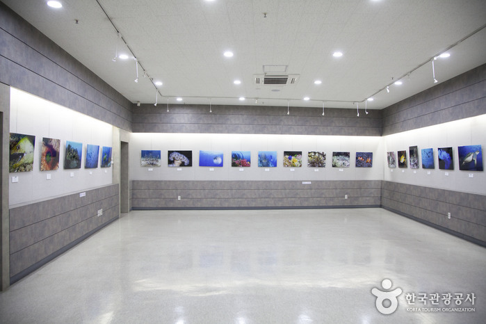 Musée des zones de pêche à Busan (부산어촌민속관)