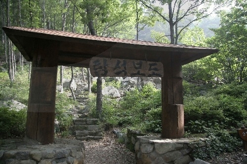 La forêt récréative naturelle Biseulsan (비슬산자연휴양림)