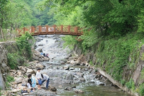 秘琴溪谷(비금계곡)