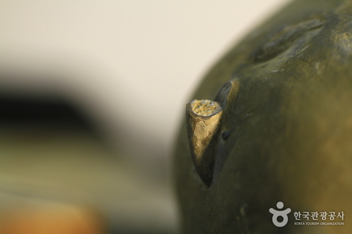 한국에서 발견된 상어 이빨 화석 