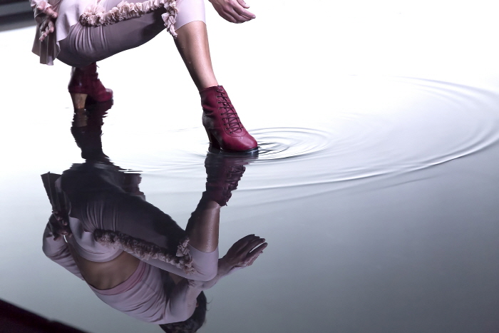 서울세계무용축제 20194