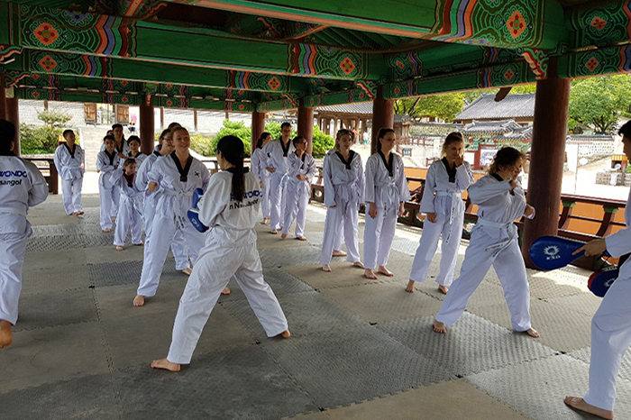 Spectacle en extérieur Namsangol Taekwondo (남산골 태권도 야외공연)
