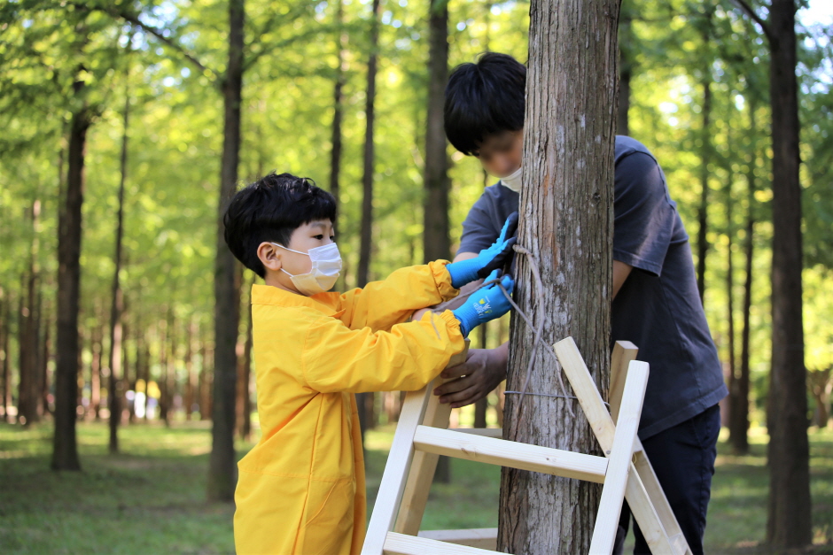 남이섬 어린이 목공체험: 뚝딱 우드랜드 20206