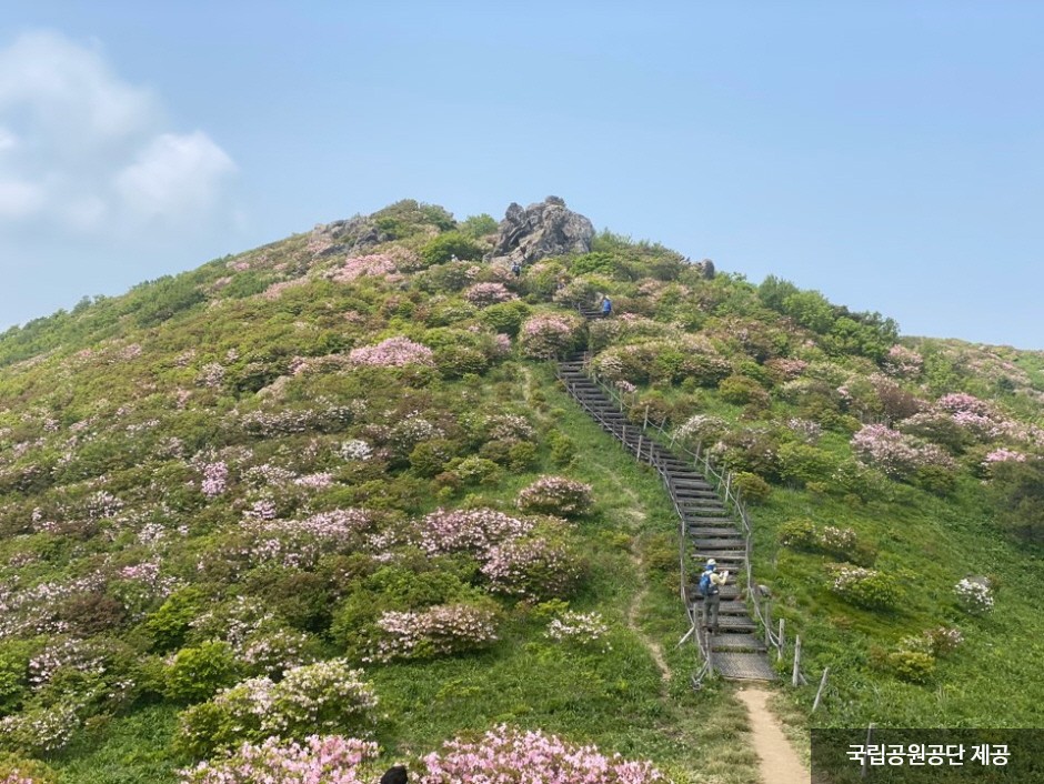 Nationalpark Sobaeksan (Gyeongsangbuk-do) (소백산국립공원(경북))