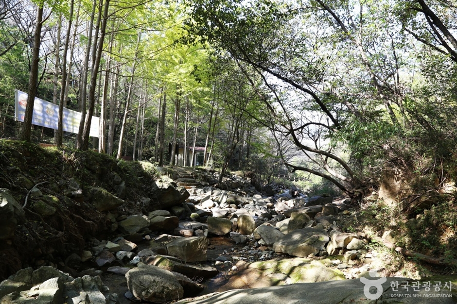 Dalcheongyegok Valley (Changwon) (달천계곡(창원))