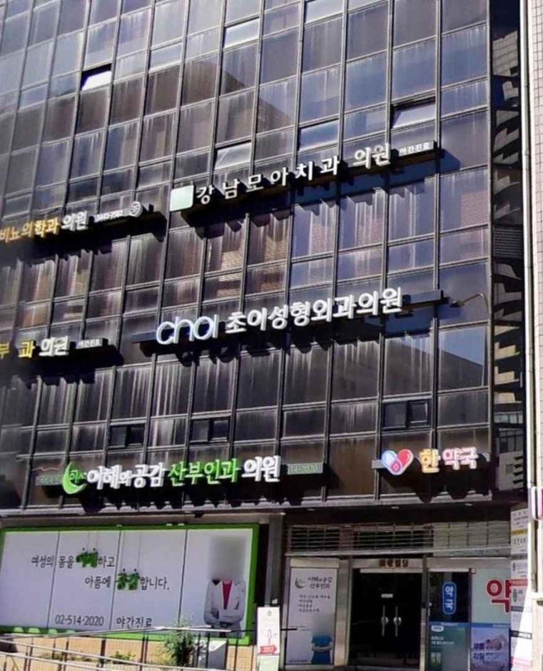 Choi Plastic Surgery [Tax Refund Shop] (초이성형외과)