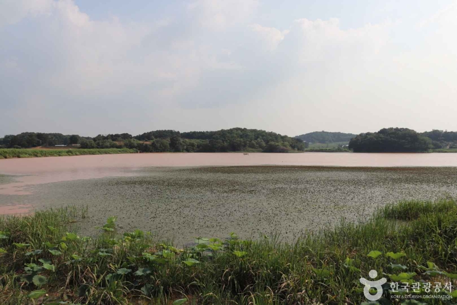 당진 초대리지