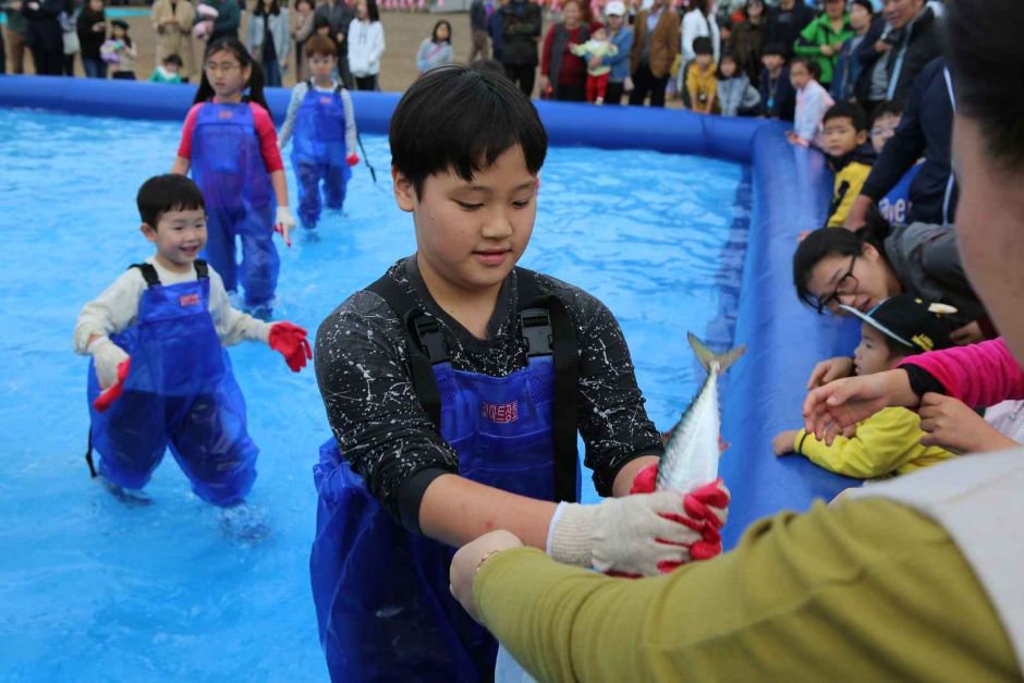 제주광어대축제