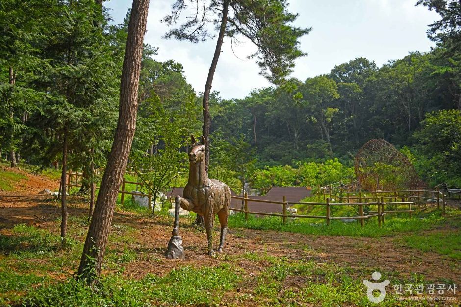 킹콩놀이터