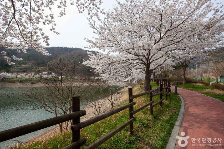 동구리호수공원