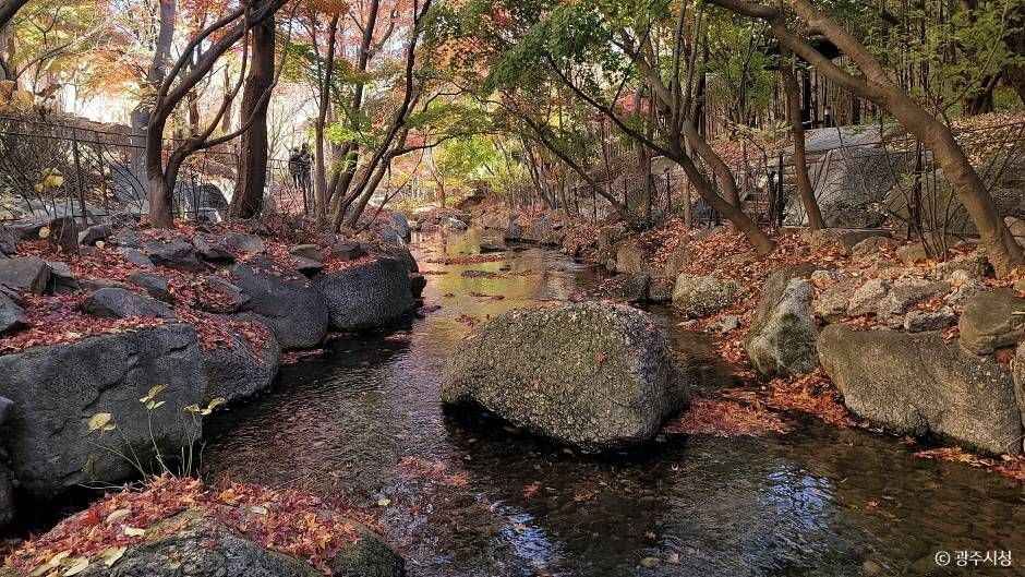 곤지암리조트 힐링캠퍼스