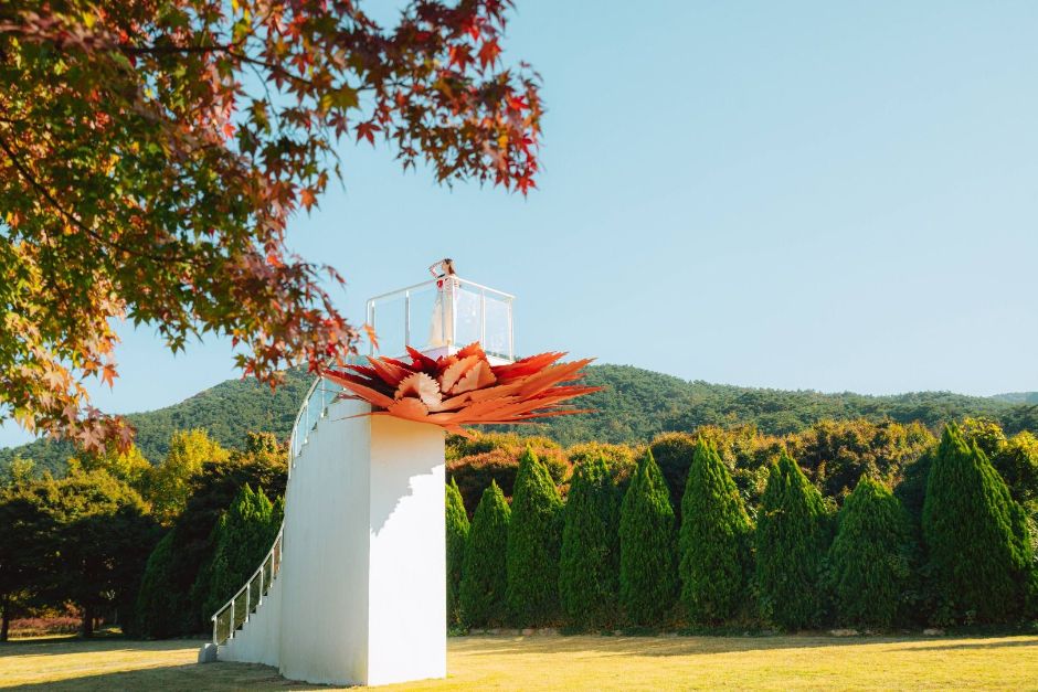 Naejangsan Maple Ecology Park (내장산 단풍생태공원)