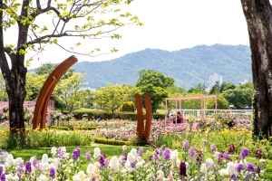 순천만국가정원 (5)