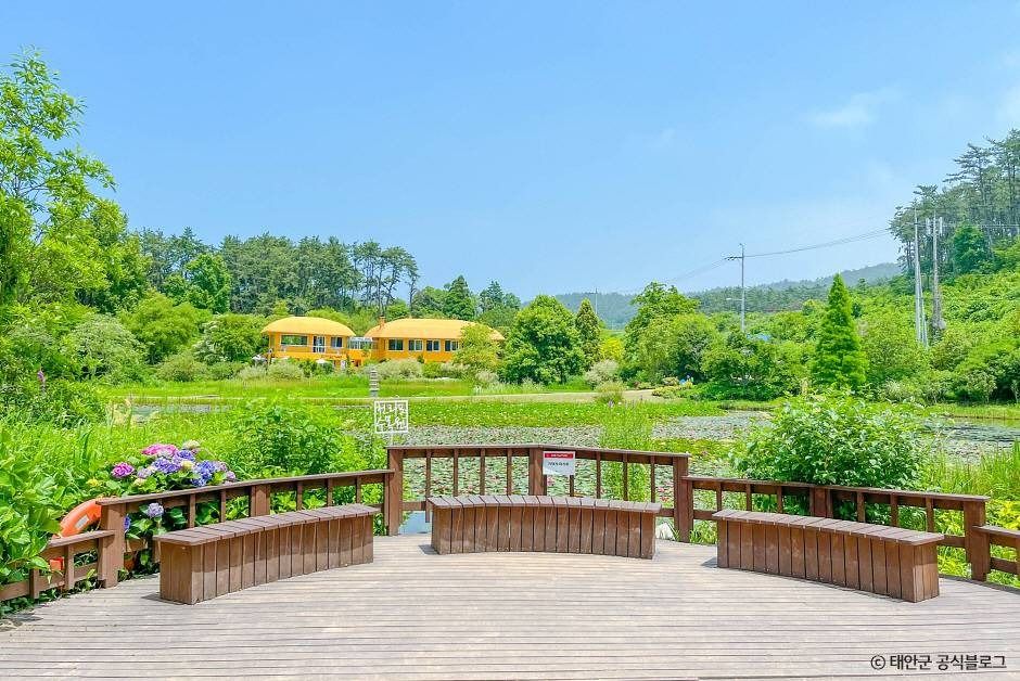 천리포수목원