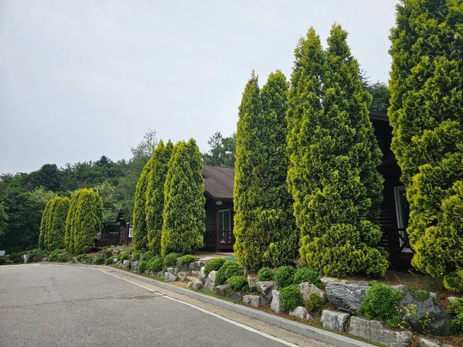 thumbnail-천보산 자연휴양림-9