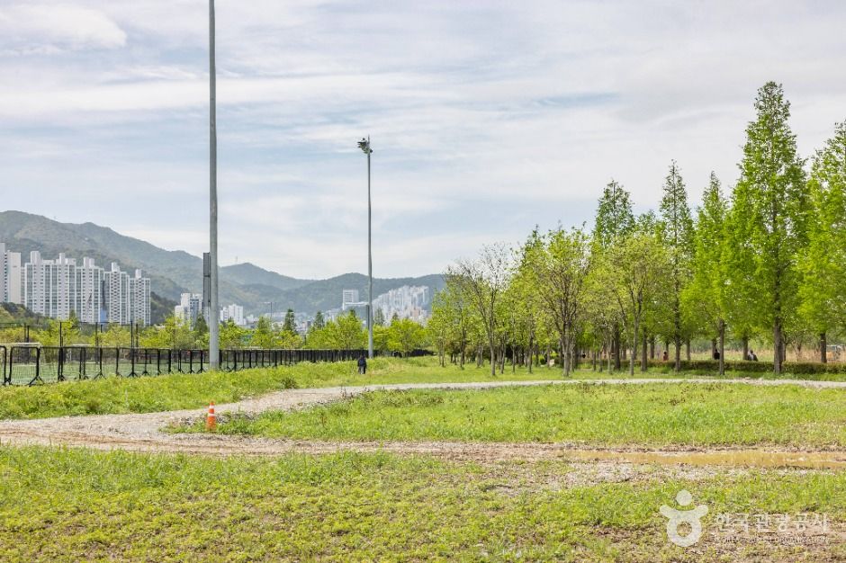 thumbnail-화명생태공원-19