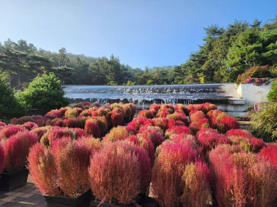 바다향기수목원