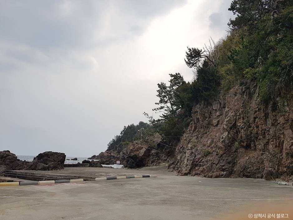 비화항