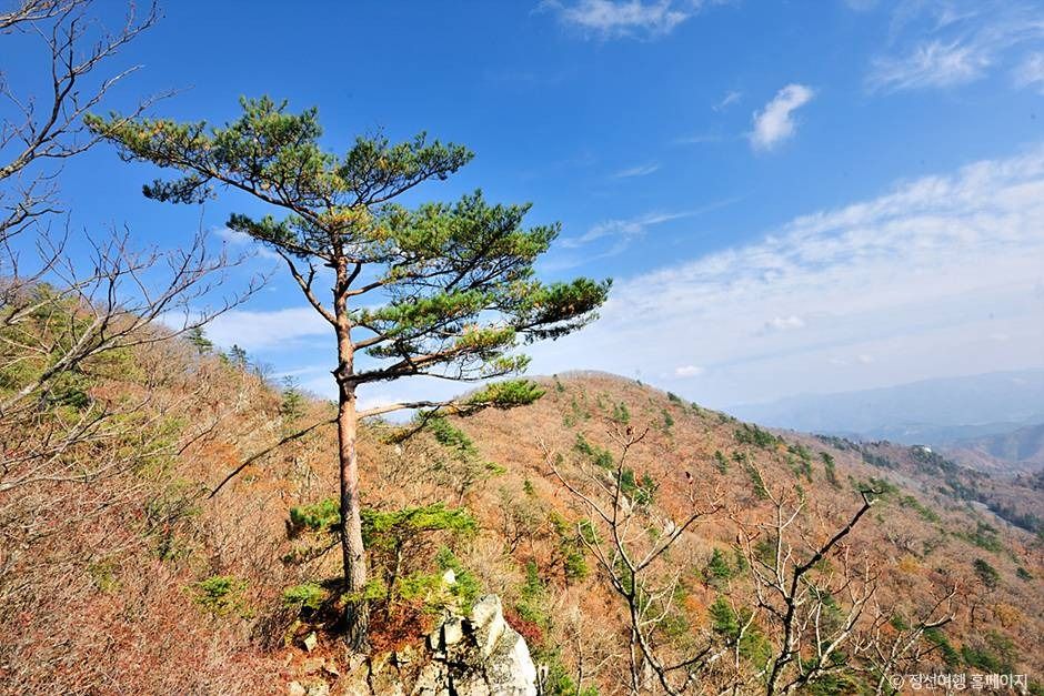 노추산