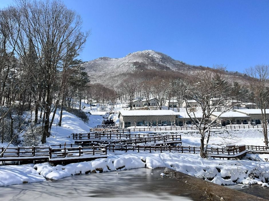 진안_국립진안고원산림치유원 (5)