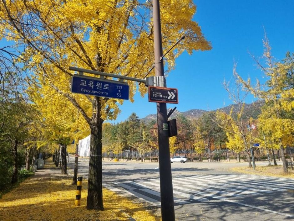 [경기옛길 삼남길 제1길] 한양관문길