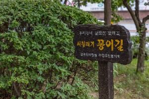 인천_굴포천 생태하천 (8)