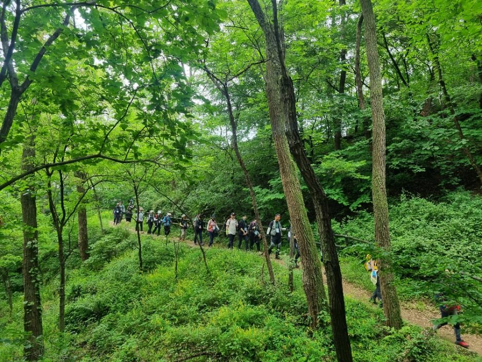 [서울둘레길 20코스] 북한산 강북코스