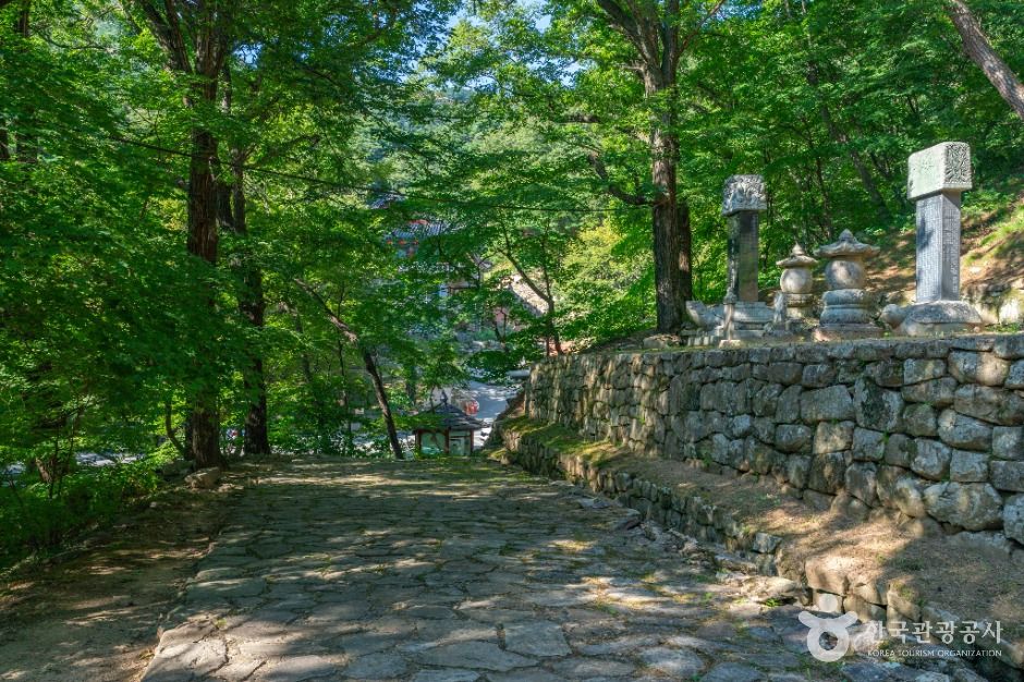 회진당원의대사지비