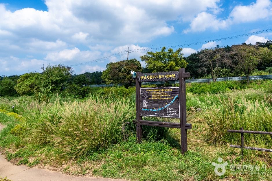 탄천민물고기습지생태원