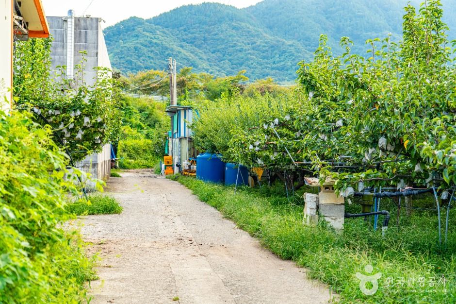 하동명품배거리