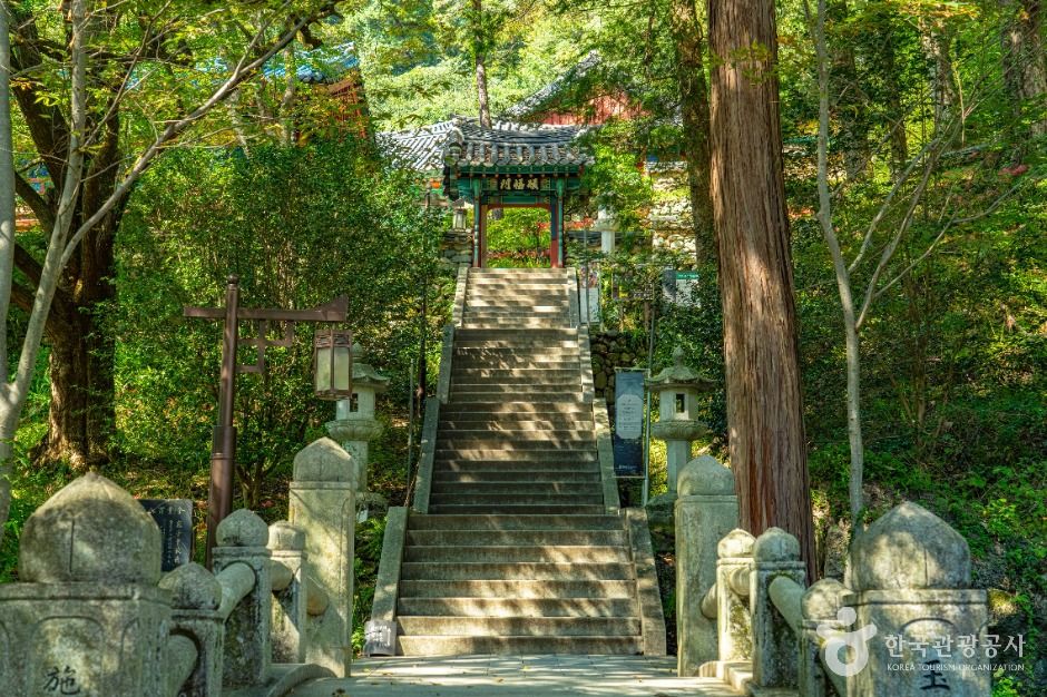 쌍계사(하동)