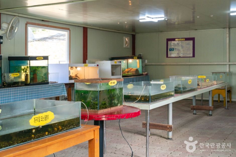 원주_원주곤충마을박물관 (3)