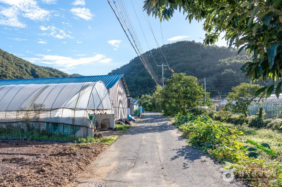 은골구기자마을
