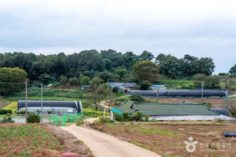 충남 서산빛들마을