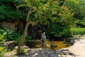 고성_그레이스 정원 (4)