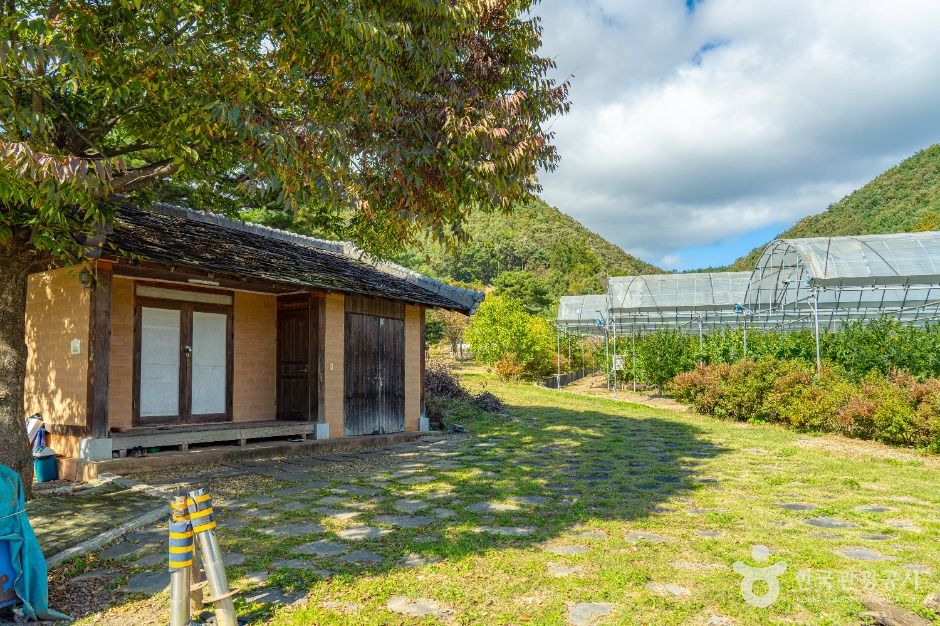 잘산대대박마을