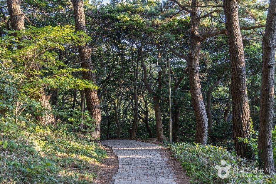 태하 해안산책로 및 대풍감 (울릉도, 독도 국가지질공원)