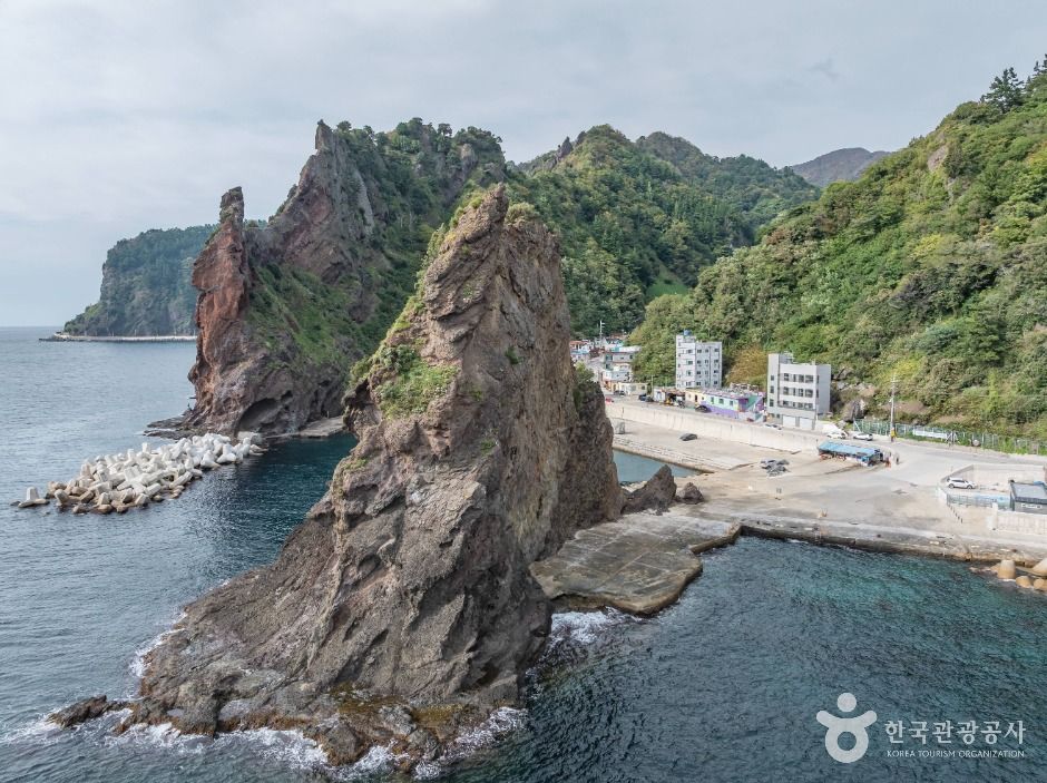 거북바위 및 향나무 자생지 (울릉도, 독도 국가지질공원)