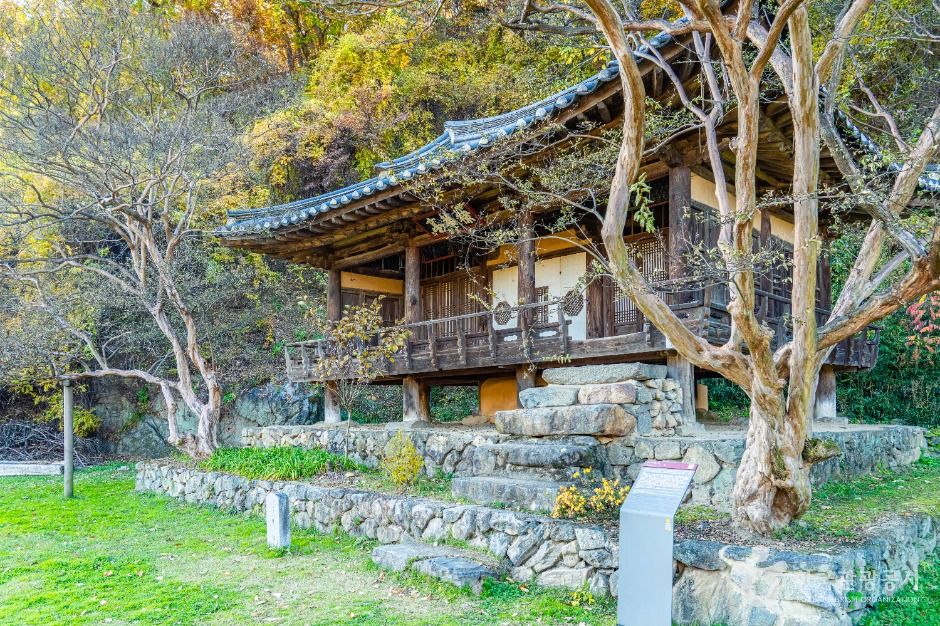 안동_체화정 (3)