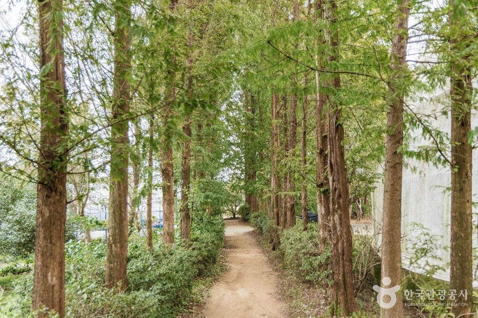 달빛소리 수목원