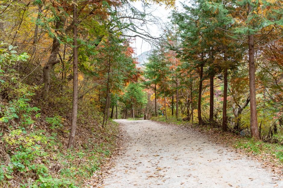 온빛자연휴양림