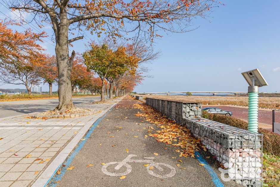 양양_연어 자전거길 (2)