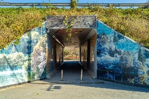 화순_세량지 (1)