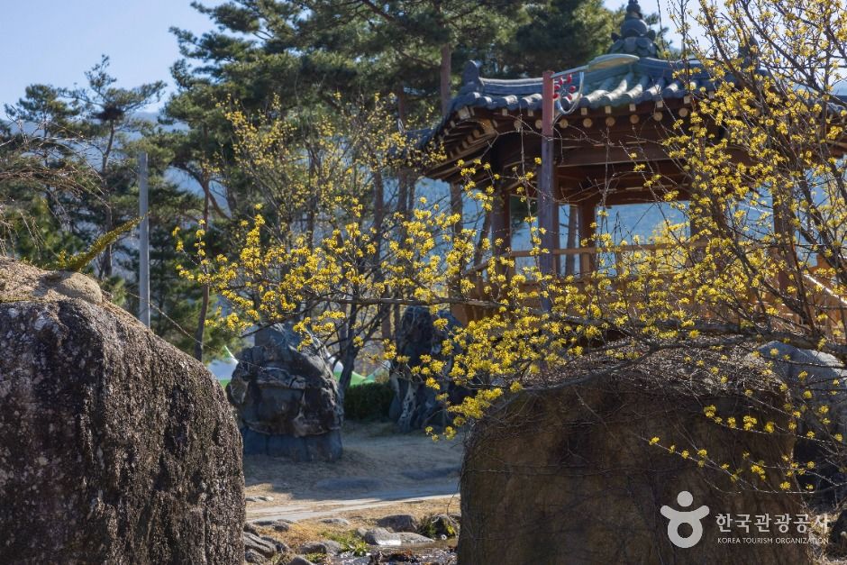 구례 산수유마을