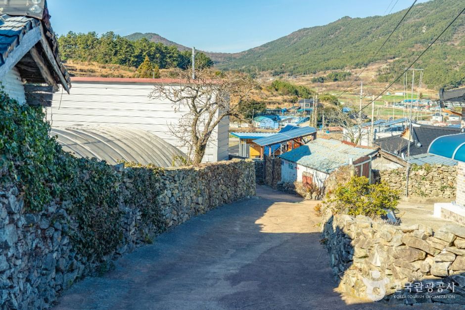 thumbnail-상서마을 옛 돌담길-5