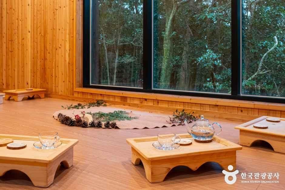 thumbnail-서귀포 치유의 숲-14